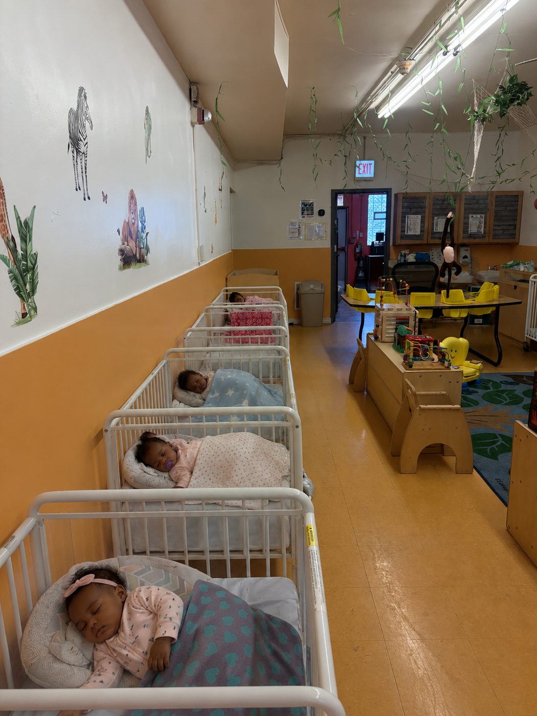 Infants resting in cribs during nap time